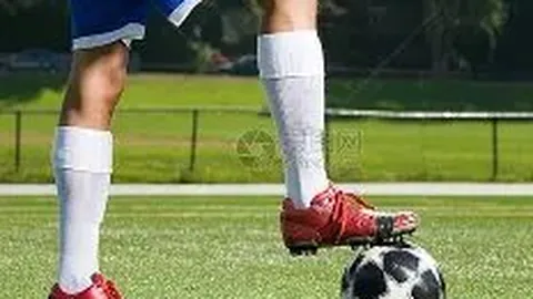 即临登贝莱手术，恐暂停战事三月